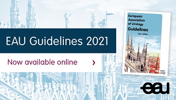 EAU Guidelines on RCC